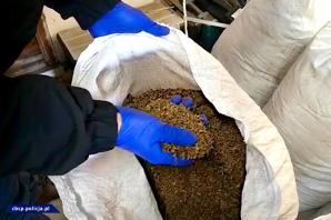 [VIDEO] Zabezpieczona maszyna mogła wyprodukować milion nielegalnych papierosów na dobę