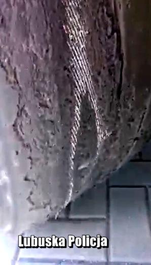 [VIDEO] Ciężarówki pod nadzorem policji i ITD