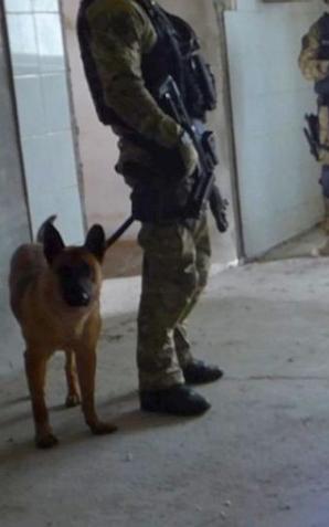 56 osób zatrzymanych, 45 aresztowanych, 228 zarzutów - to efekt współpracy CBŚP i Policji z Niemiec