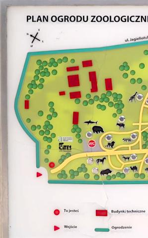 [VIDEO] Problemy finansowe i braki kadrowe uderzają w warszawskie zoo. Konieczne wstrzymanie inwestycji i ograniczanie liczby zwierząt